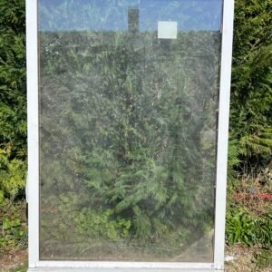 Fenêtre en bois double vitrage